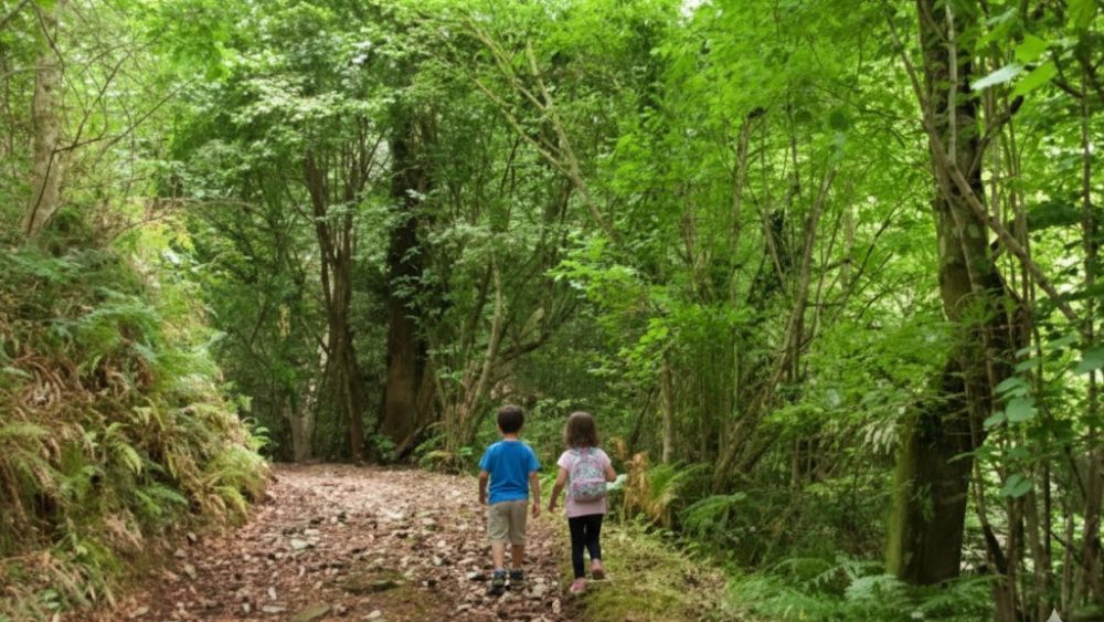 Ruta Valle Oscuro, 2 niños pasenado