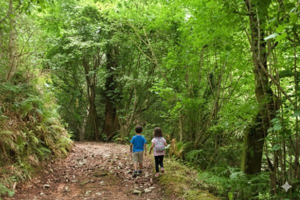 Ruta Valle Oscuro, 2 niños pasenado